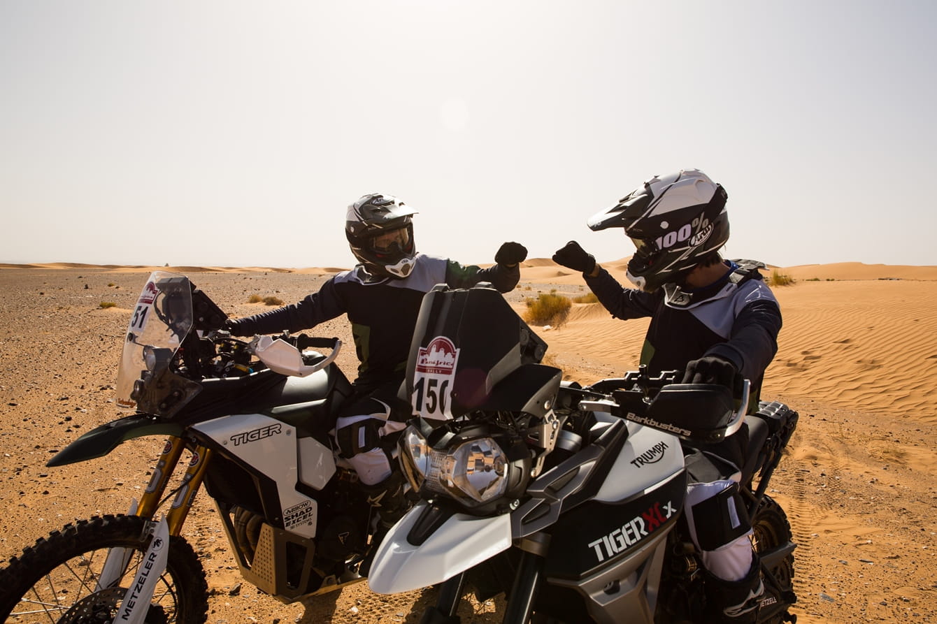 Triumph tramontana new arrivals